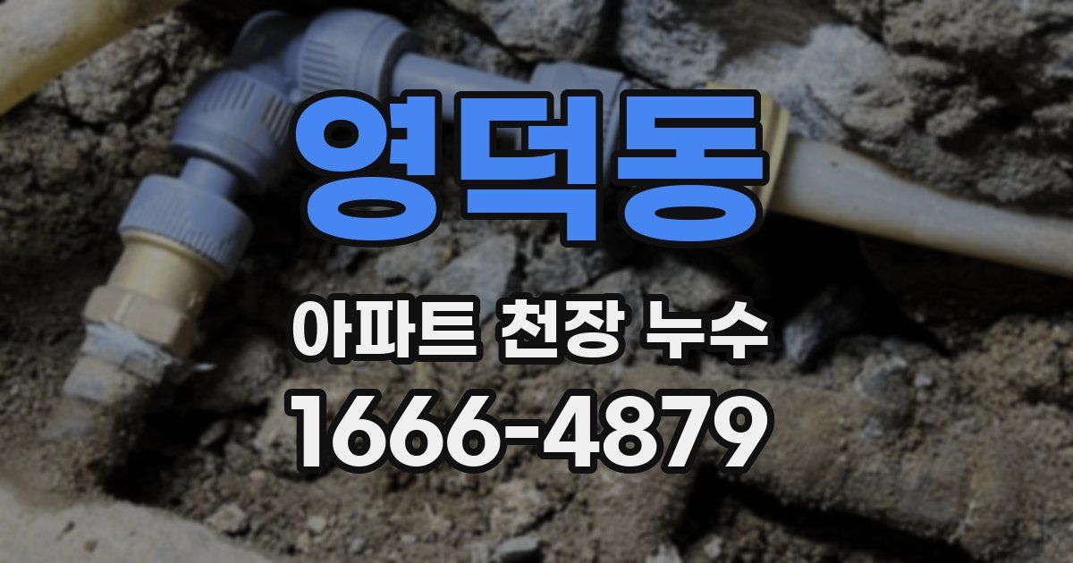 영덕동 아파트 천장 누수