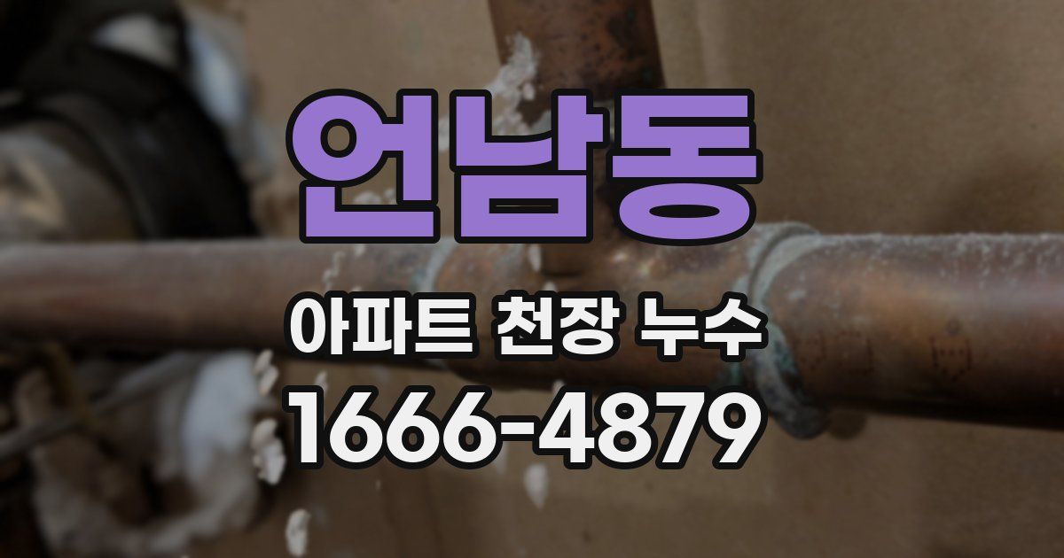 언남동 아파트 천장 누수