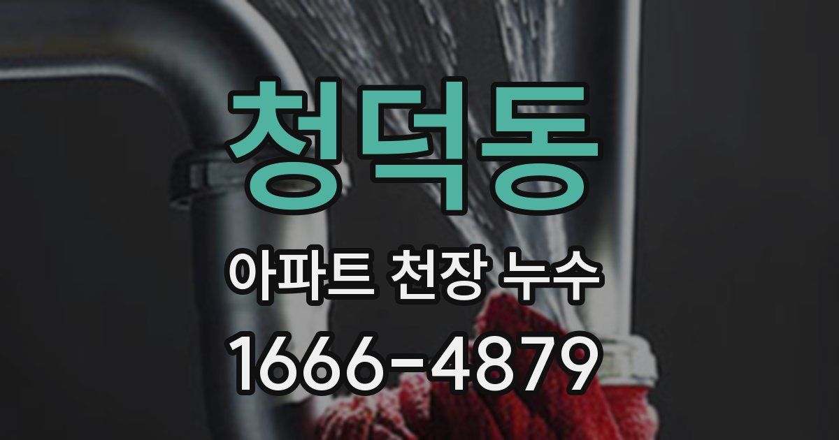 청덕동 아파트 천장 누수