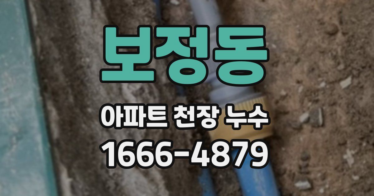 보정동 아파트 천장 누수