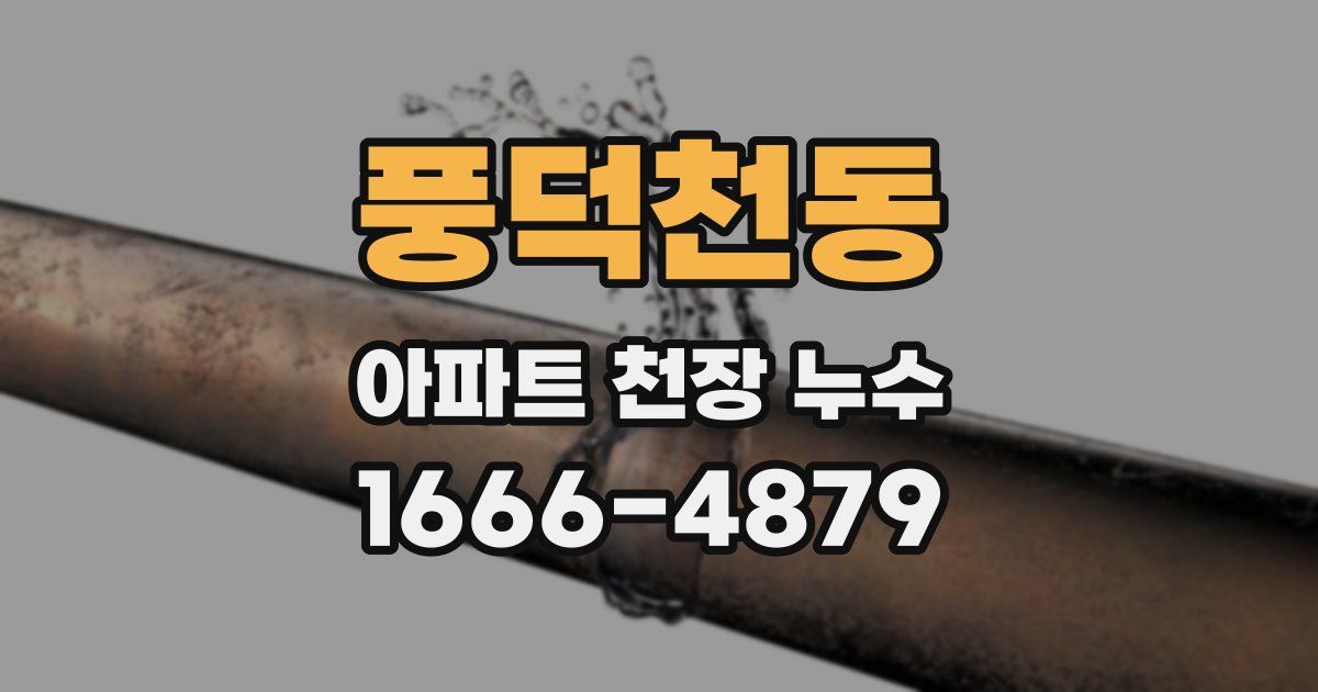 풍덕천동 아파트 천장 누수