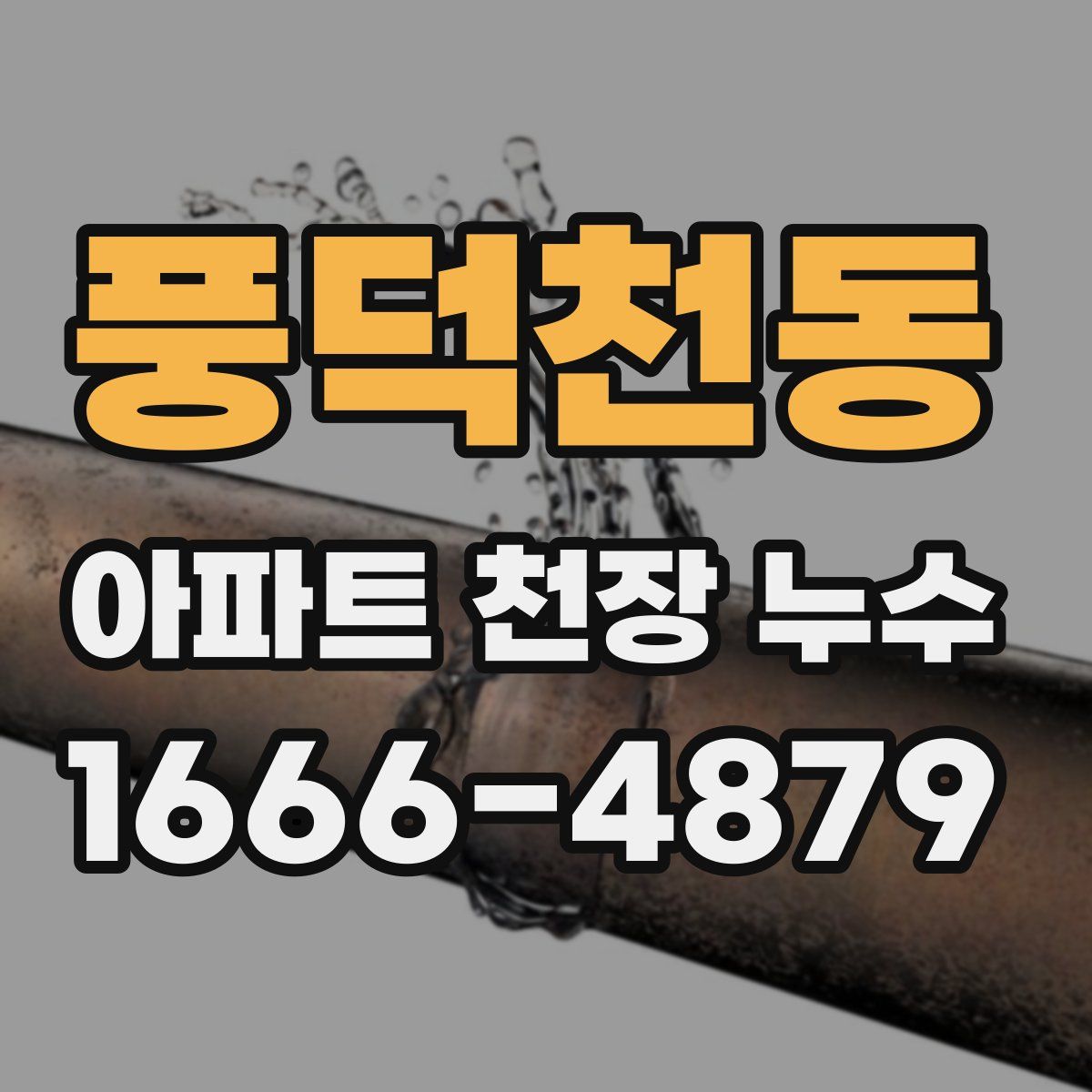 풍덕천동 아파트 천장 누수