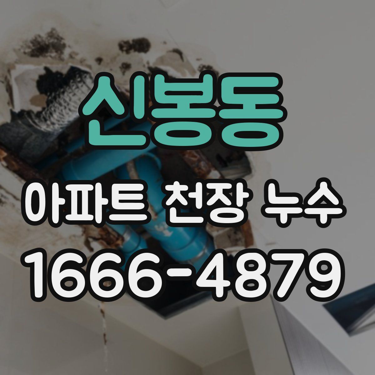 신봉동 아파트 천장 누수