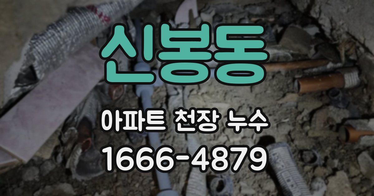 신봉동 아파트 천장 누수