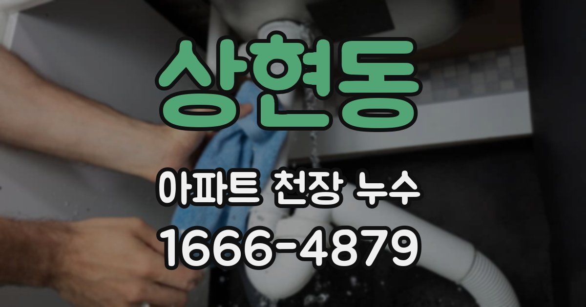 상현동 아파트 천장 누수