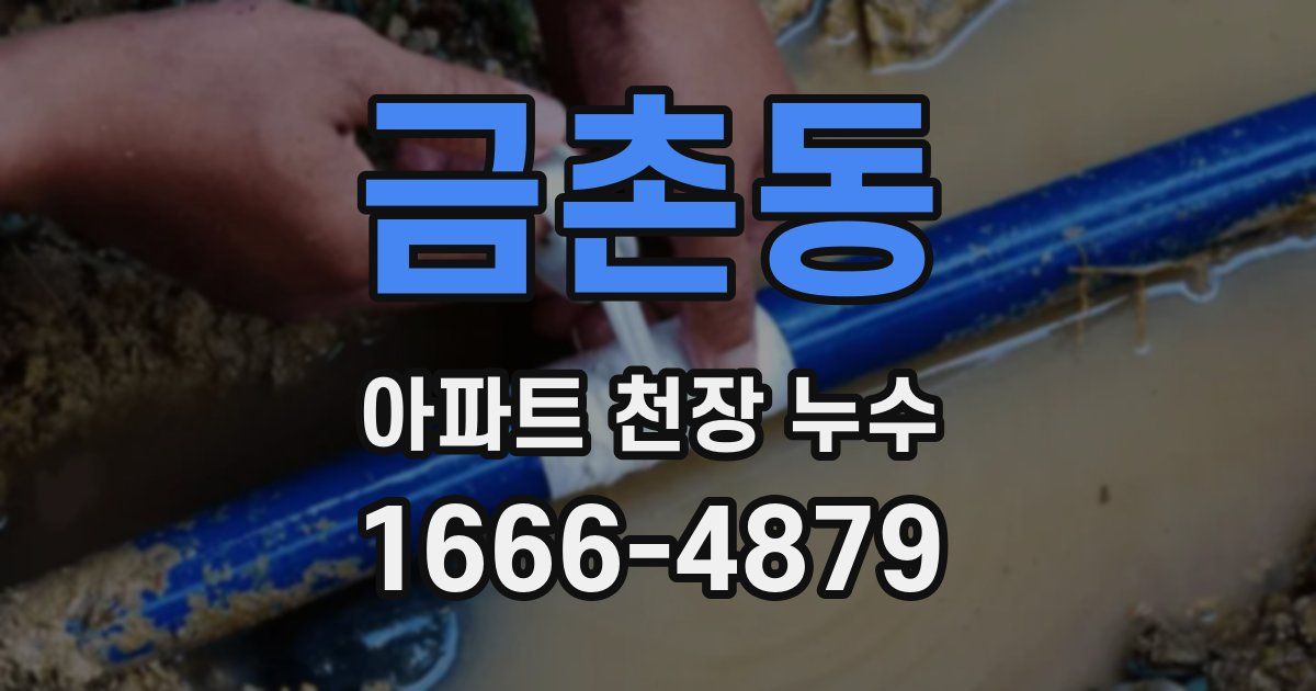 금촌동 아파트 천장 누수
