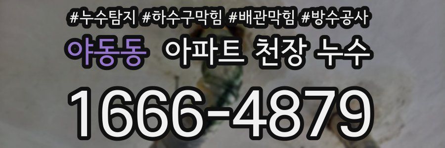 야동동 아파트 천장 누수
