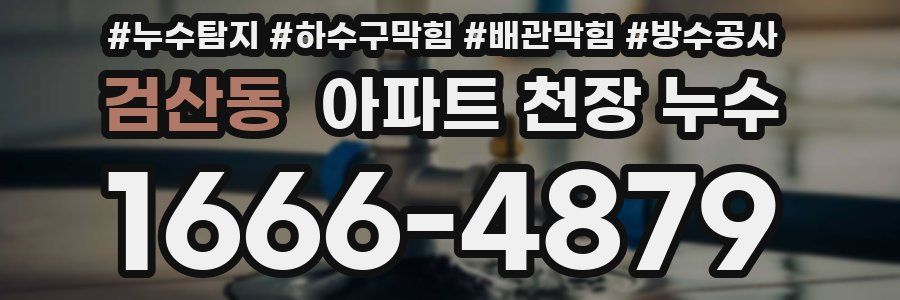 검산동 아파트 천장 누수