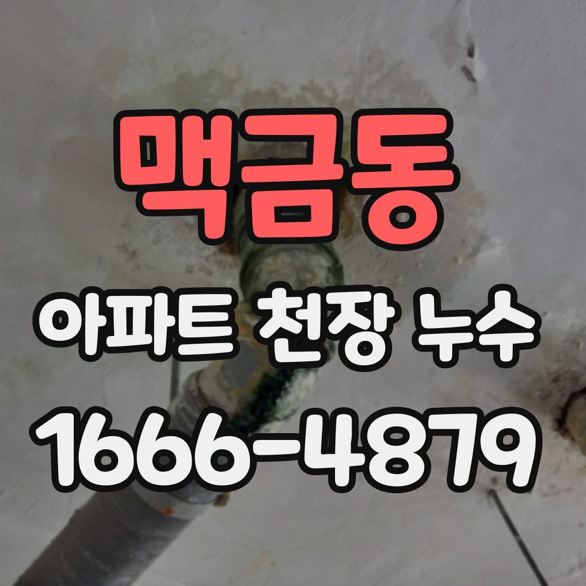 맥금동 아파트 천장 누수