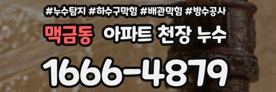 맥금동 아파트 천장 누수