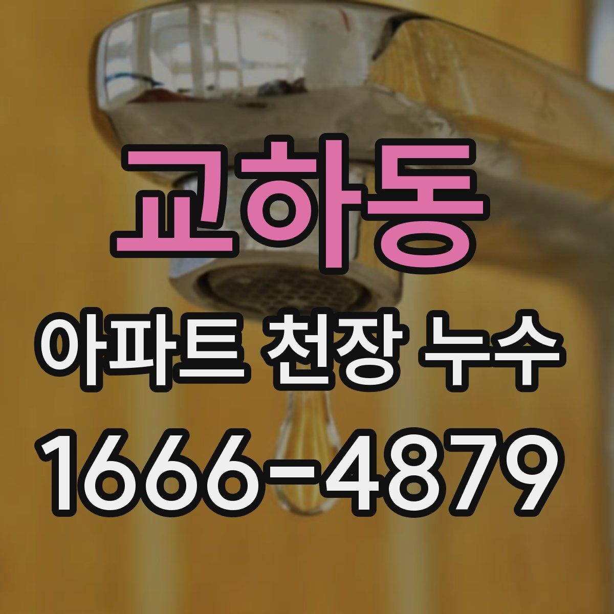 교하동 아파트 천장 누수