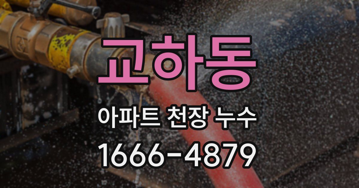 교하동 아파트 천장 누수