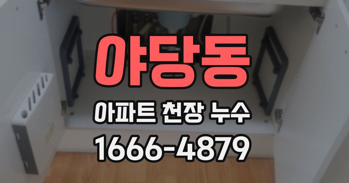 야당동 아파트 천장 누수