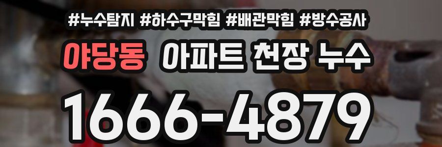 야당동 아파트 천장 누수
