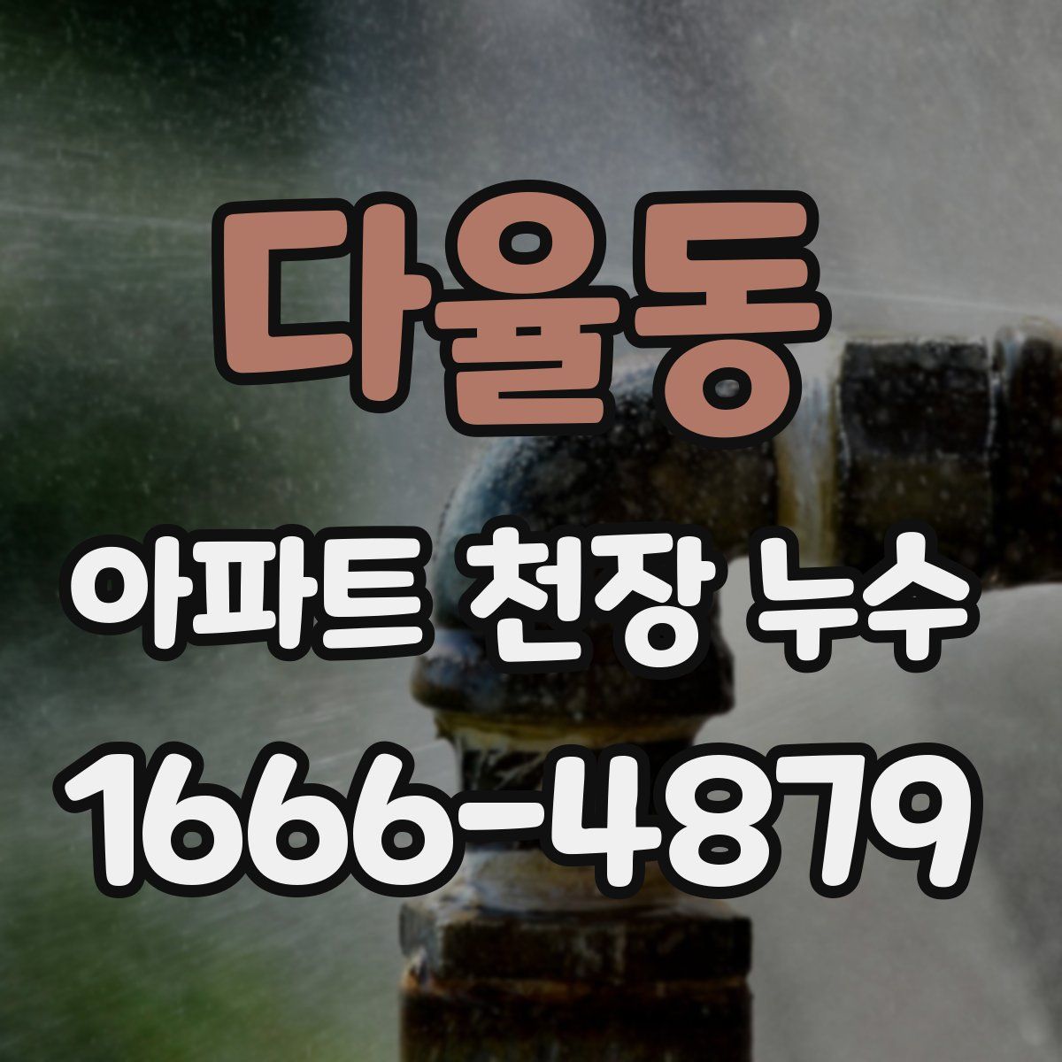 다율동 아파트 천장 누수