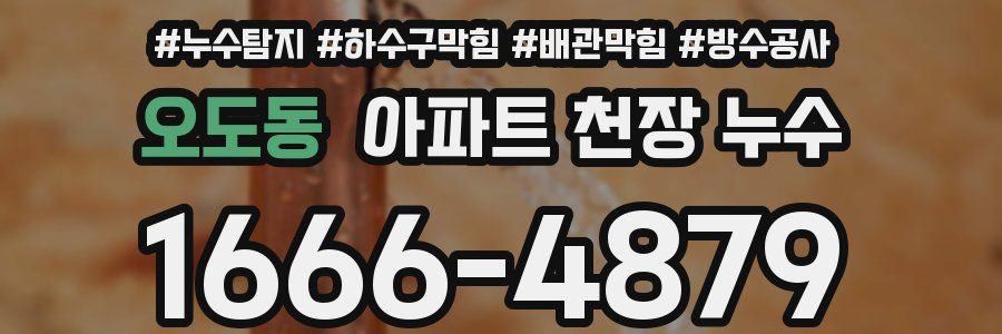오도동 아파트 천장 누수