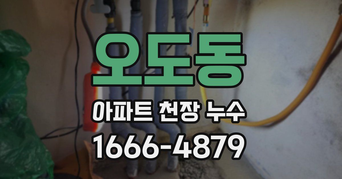 오도동 아파트 천장 누수