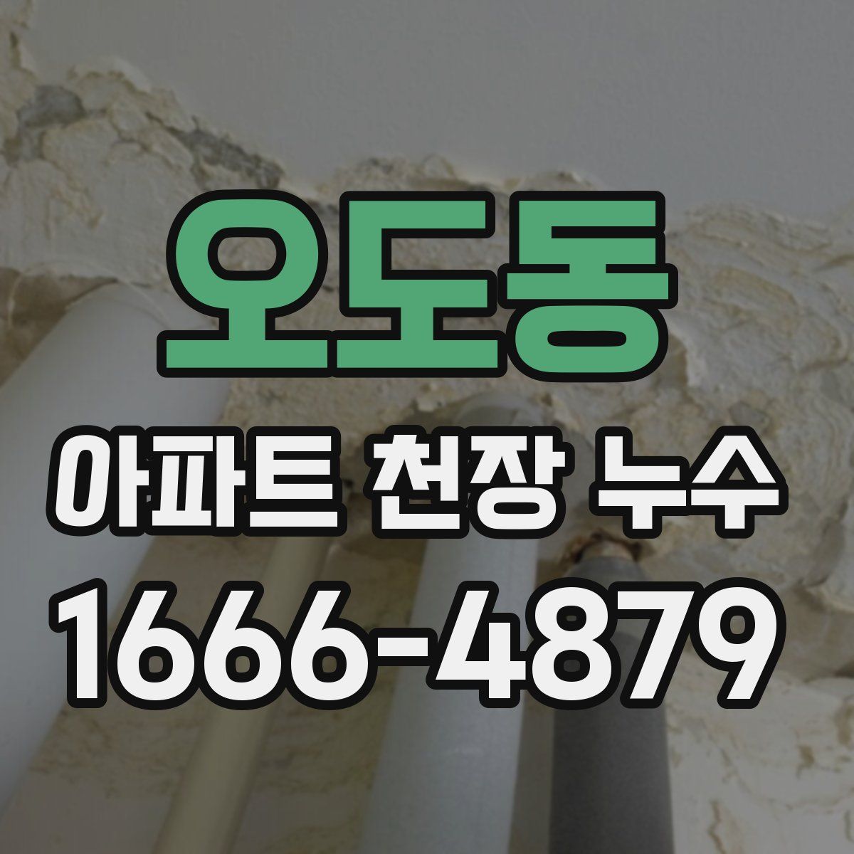 오도동 아파트 천장 누수