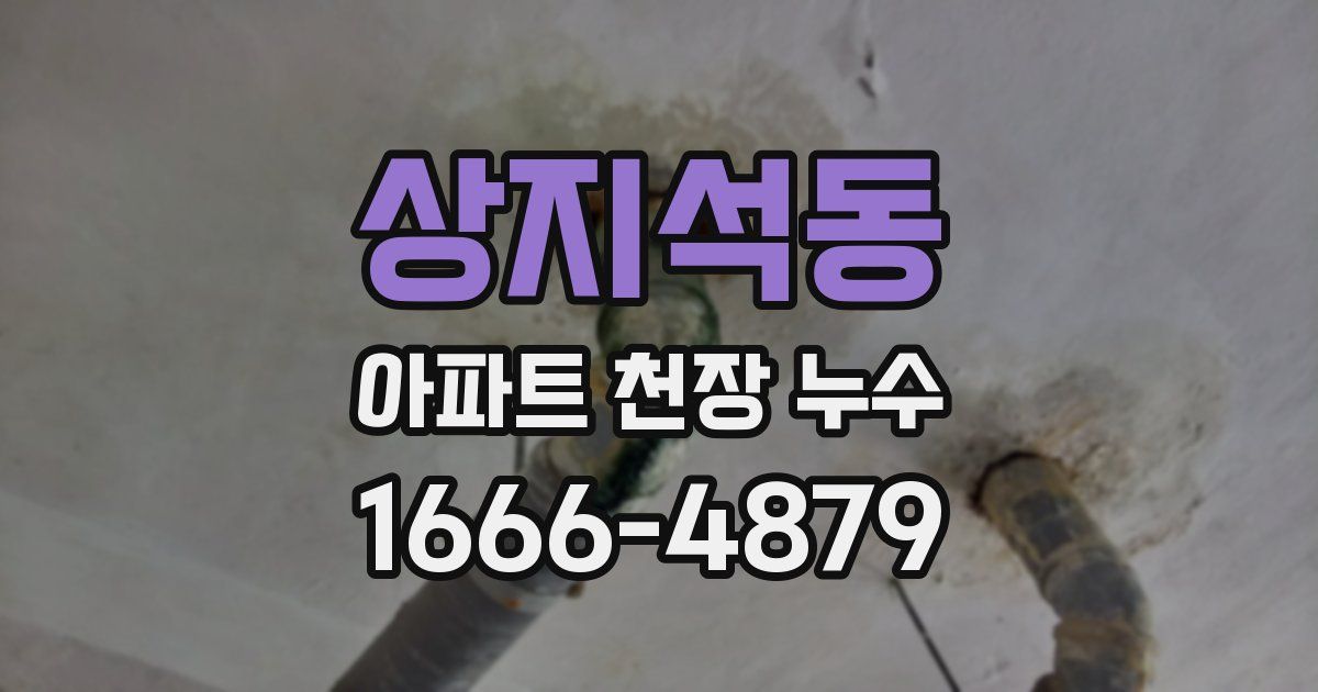 상지석동 아파트 천장 누수