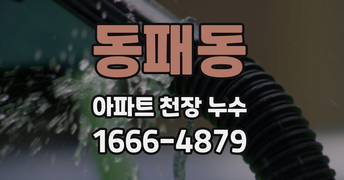 동패동 아파트 천장 누수