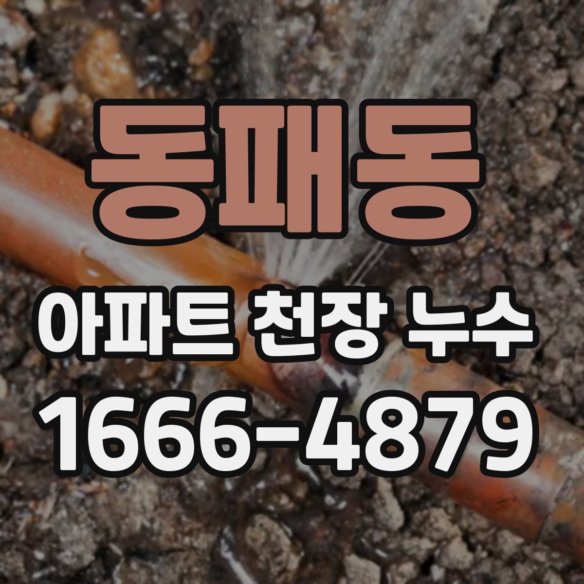 동패동 아파트 천장 누수