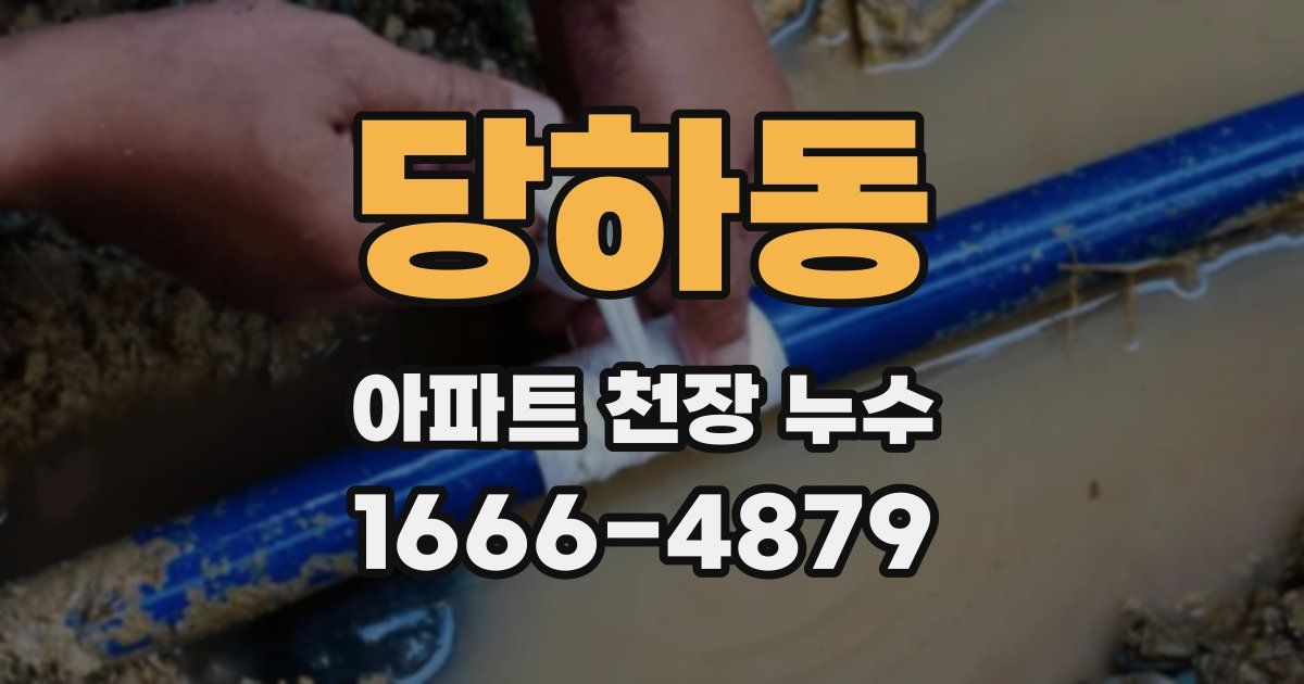 당하동 아파트 천장 누수