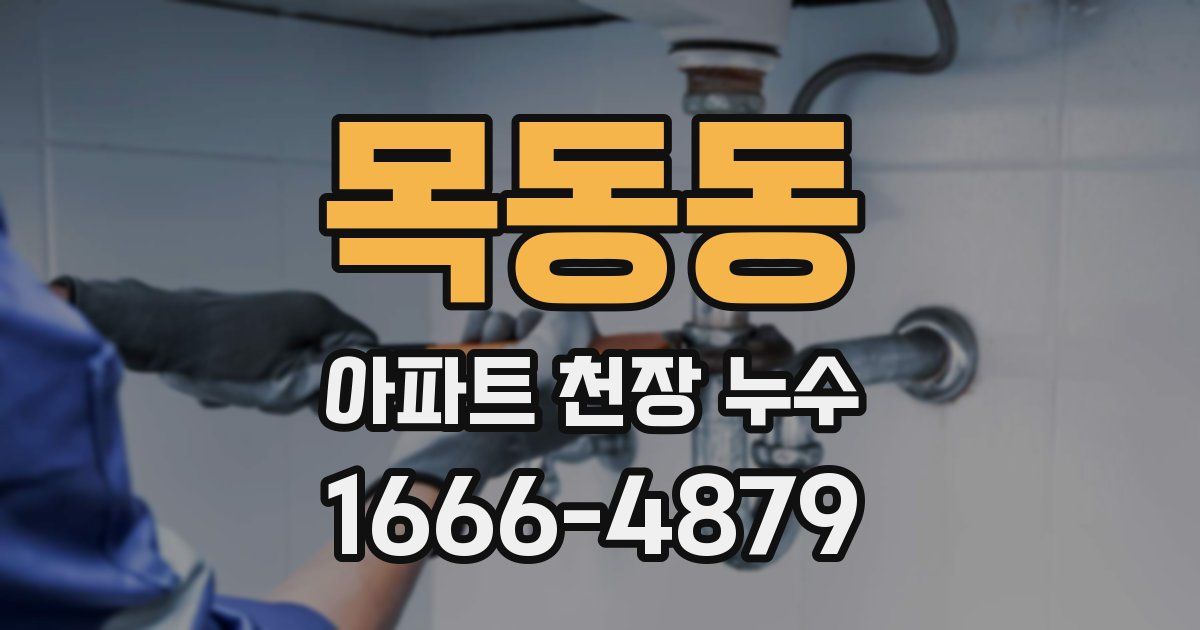 목동동 아파트 천장 누수