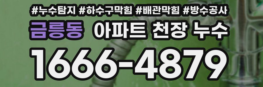 금릉동 아파트 천장 누수