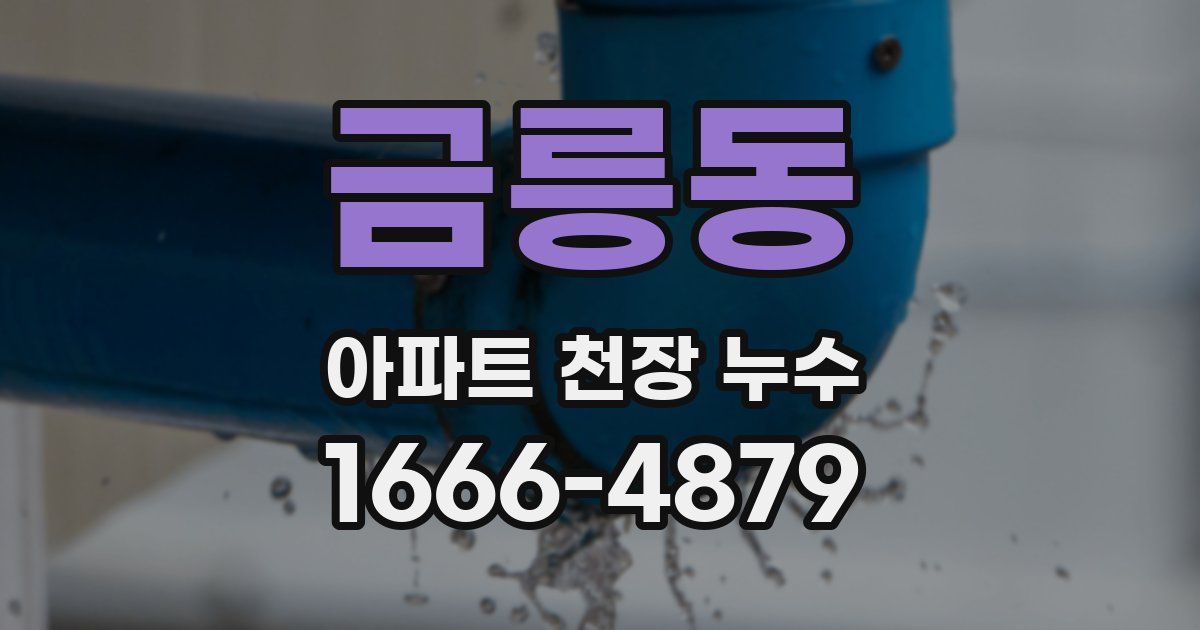 금릉동 아파트 천장 누수
