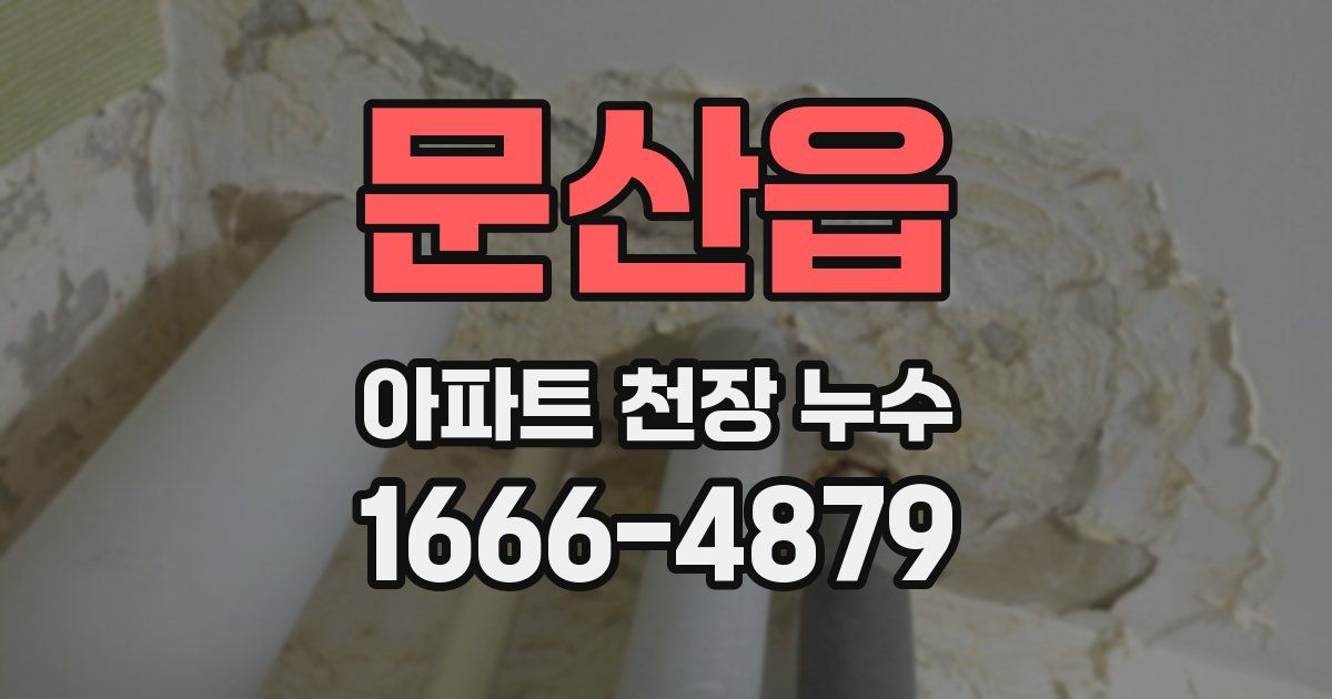 문산읍 아파트 천장 누수