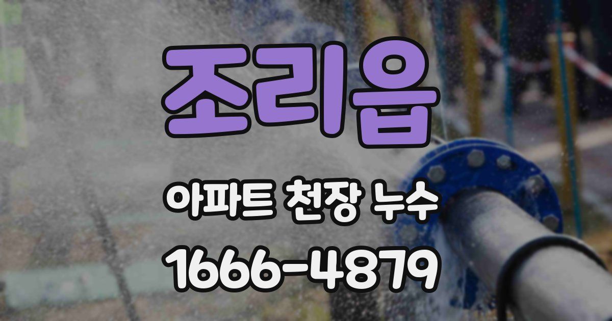 조리읍 아파트 천장 누수