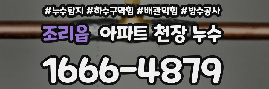 조리읍 아파트 천장 누수