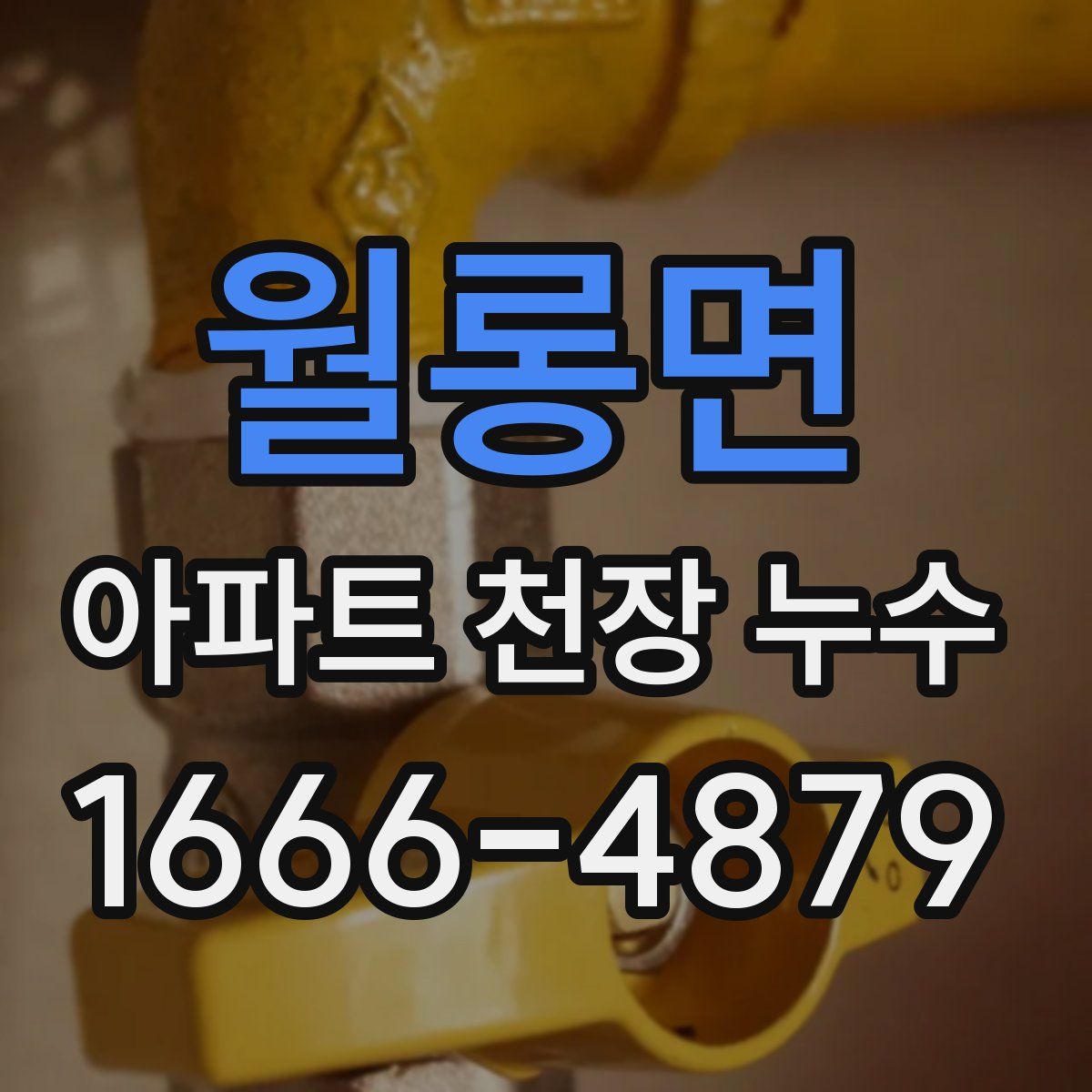 월롱면 아파트 천장 누수
