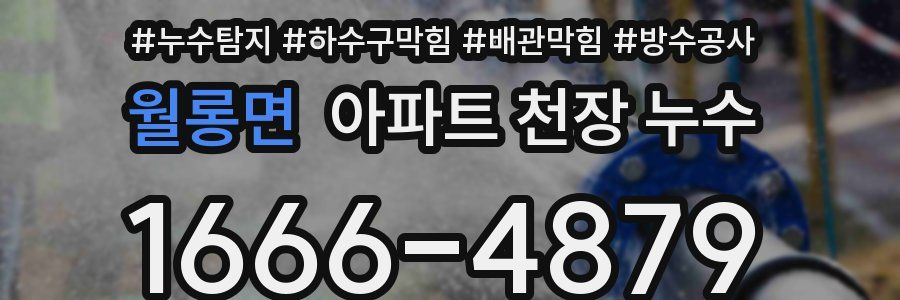 월롱면 아파트 천장 누수