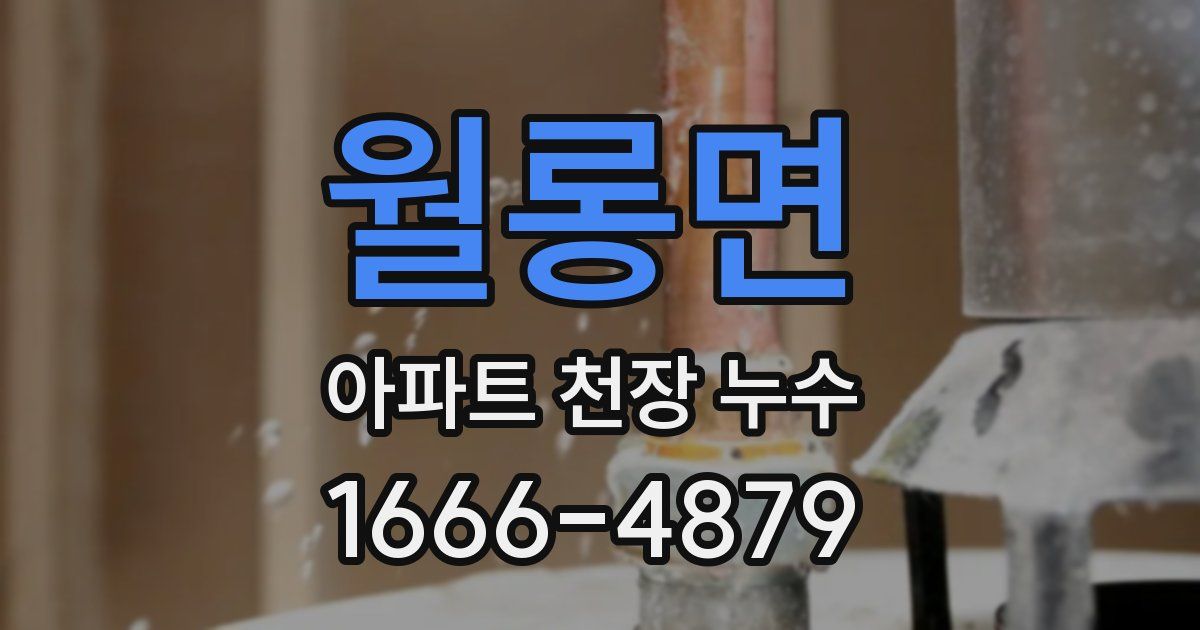 월롱면 아파트 천장 누수