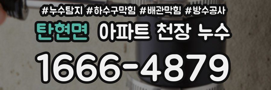 탄현면 아파트 천장 누수