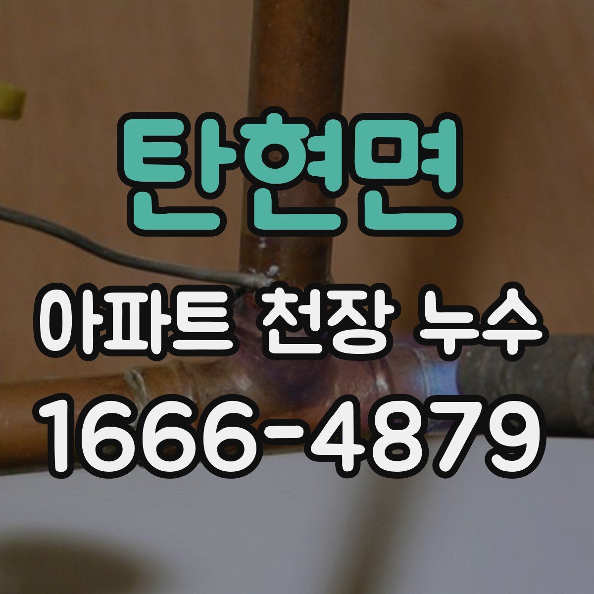 탄현면 아파트 천장 누수