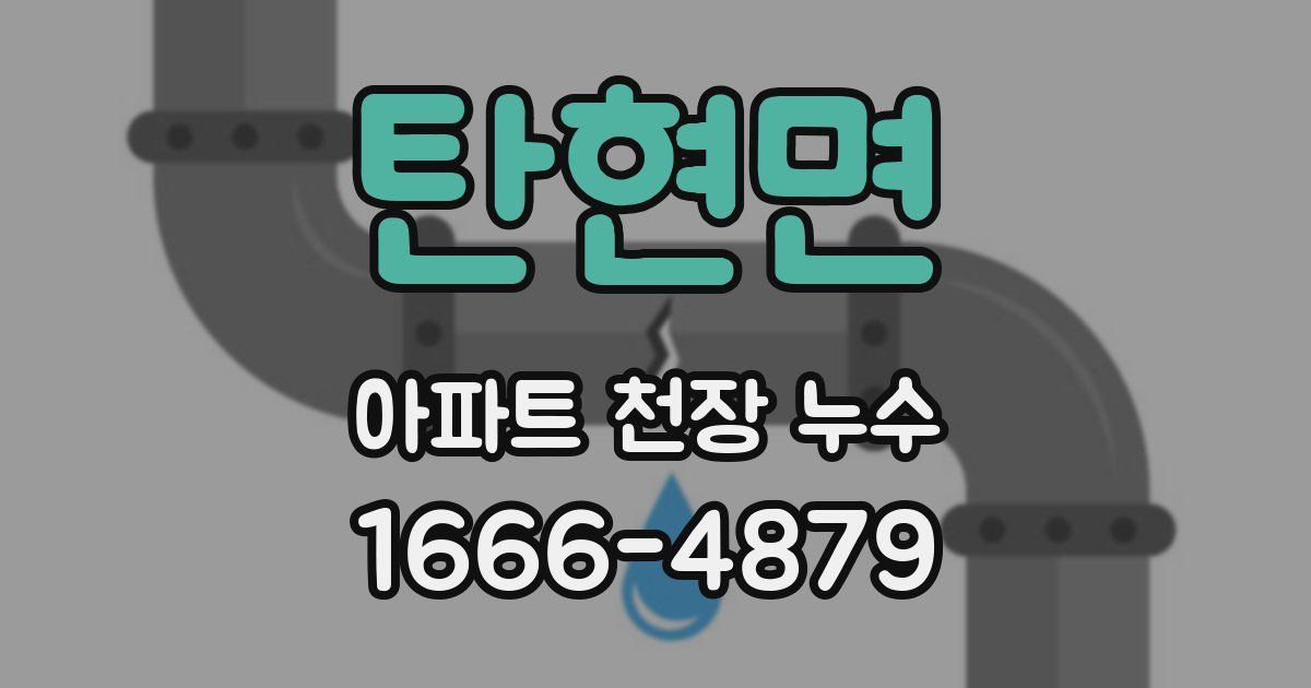 탄현면 아파트 천장 누수