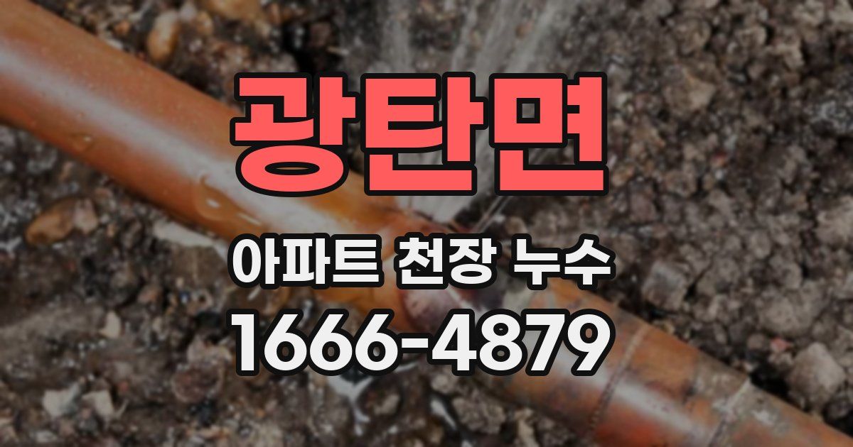 광탄면 아파트 천장 누수