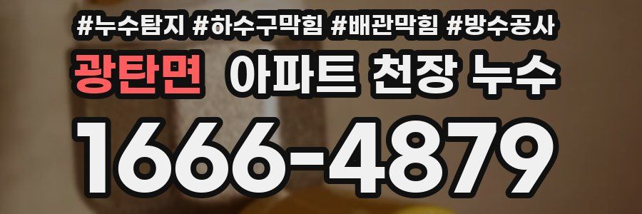 광탄면 아파트 천장 누수