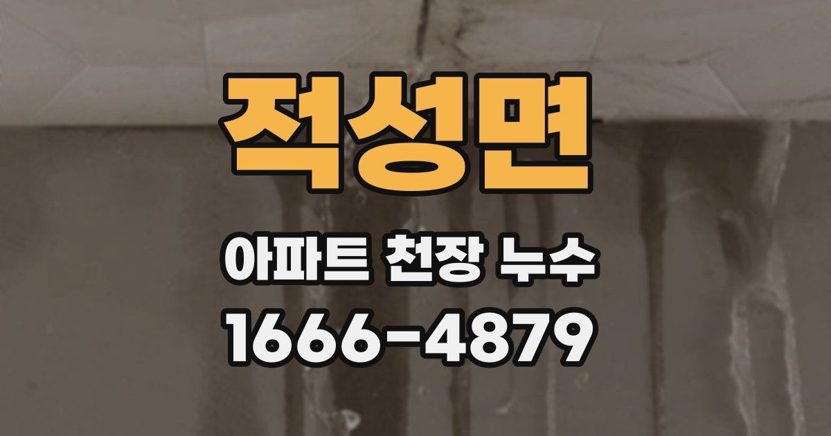 적성면 아파트 천장 누수