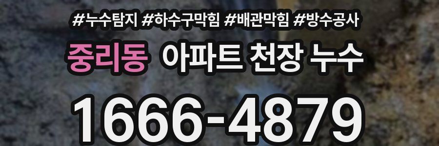 중리동 아파트 천장 누수