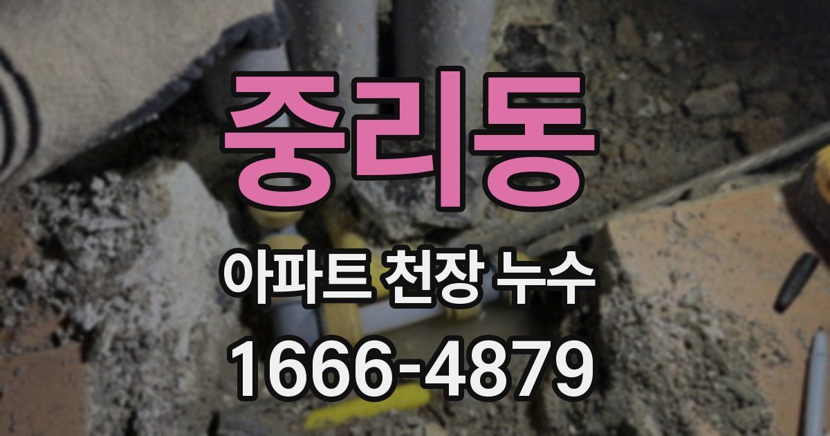 중리동 아파트 천장 누수