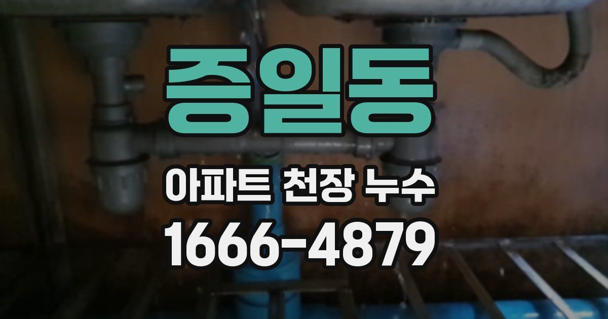증일동 아파트 천장 누수