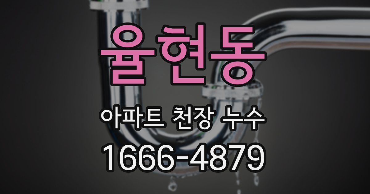 율현동 아파트 천장 누수