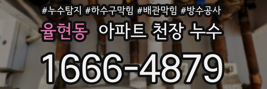 율현동 아파트 천장 누수