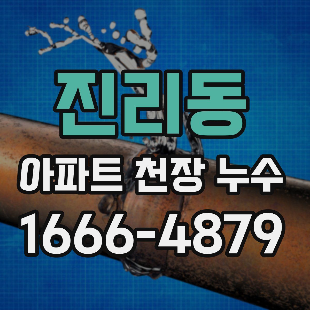 진리동 아파트 천장 누수