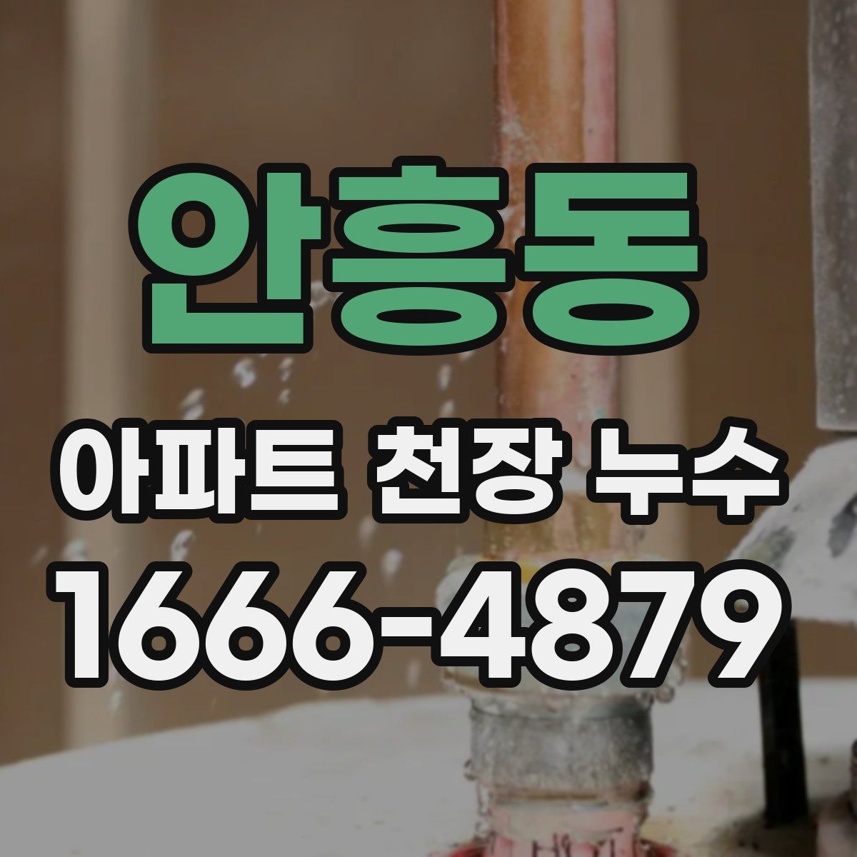 안흥동 아파트 천장 누수