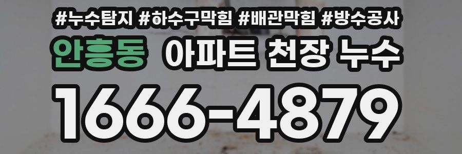 안흥동 아파트 천장 누수