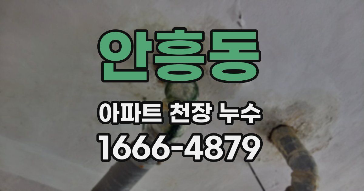 안흥동 아파트 천장 누수